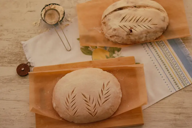 Two artisan sourdough dough loaves with carved designs on parchment paper